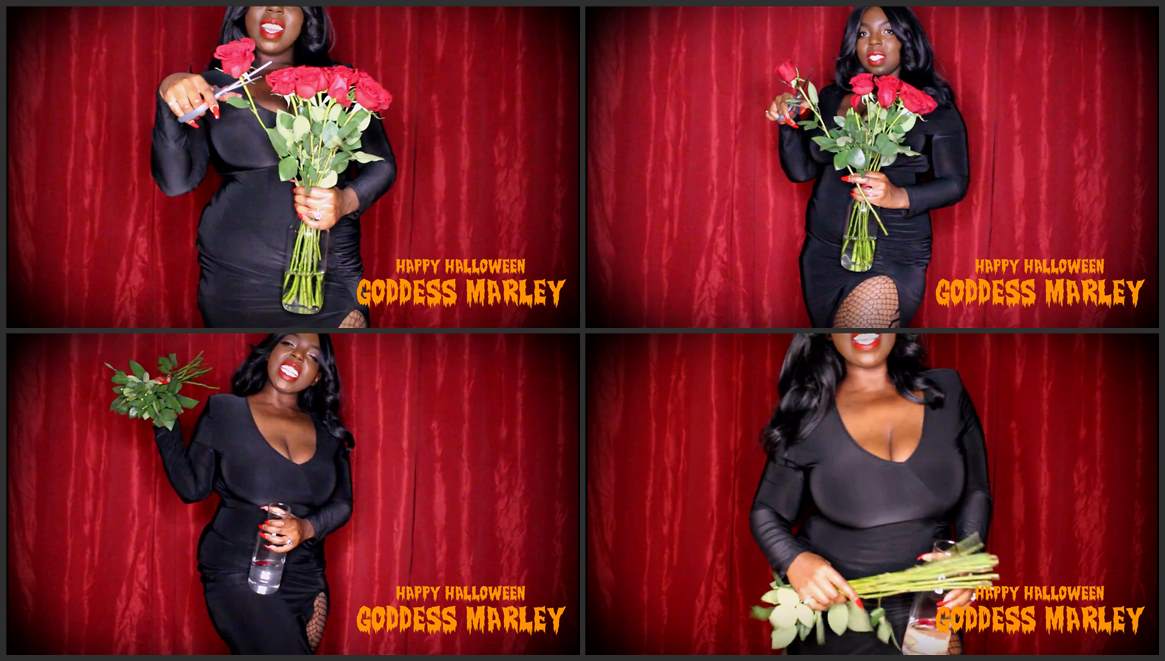 daniel j king recommends Goddess Marley