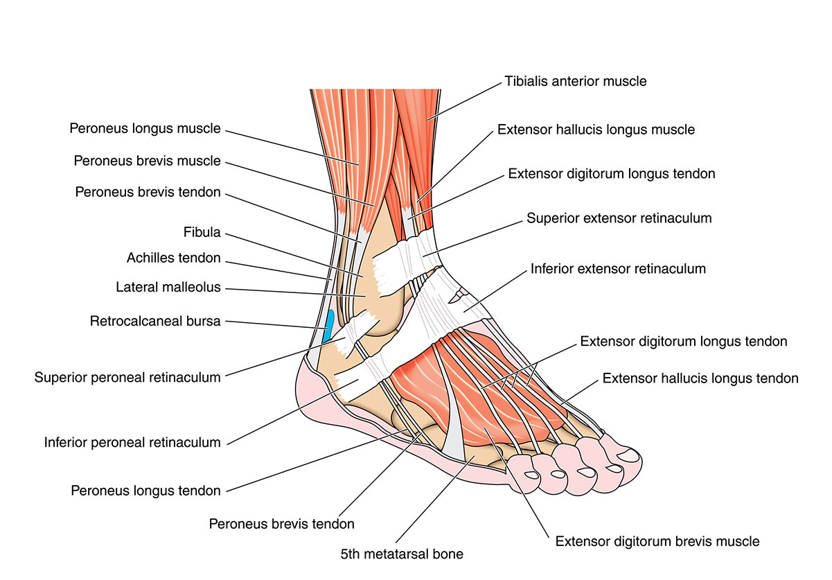 cindy spooner recommends All You Can Feet