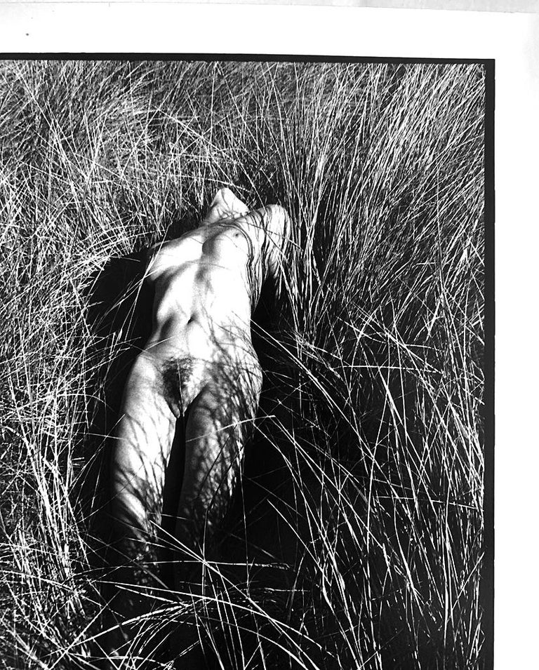 brian pendergraft recommends vintage nude families pic